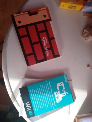 Super Mario Wii U
