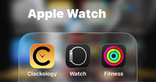 Apple Watch Ultra 2 Grigio/Arancione