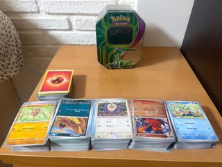 Bulk de cartas pokemon y una lata