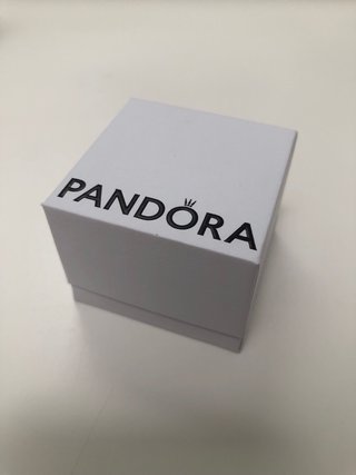 Pendientes Pandora Círculo Eternidad Junio
