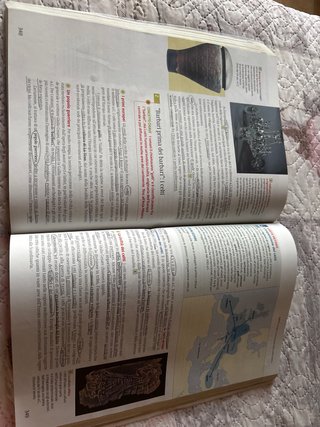 Mundua storia-geografia-educazione civica