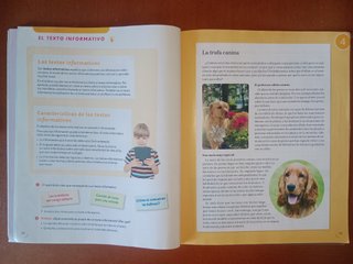 Lengua castellana, 5 Primaria