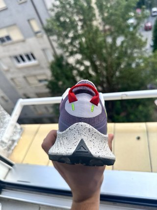 Nike Pegasus Trail 3