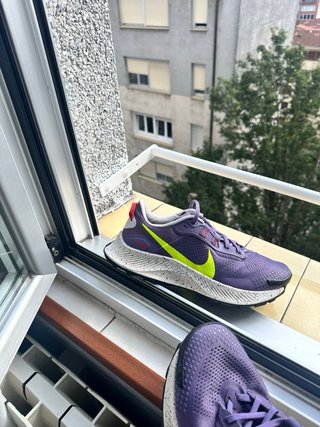 Nike Pegasus Trail 3