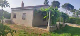 Terreno con almacén agrícola 60m²