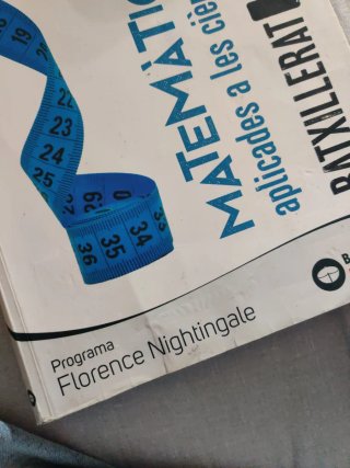 Florence Nightingale 1 Batxillerat. Matemàtique...