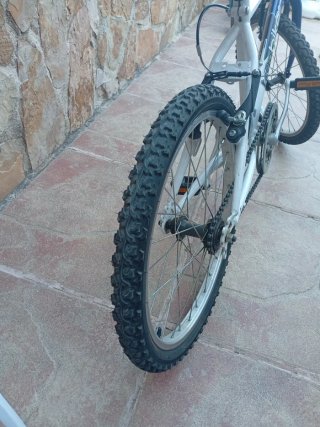 Bicicleta niñ@ de 20"