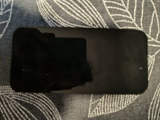 iPhone 16 Apple