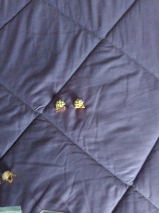 Collar de Perlas Majorica