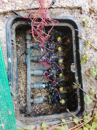 Se ofrece jardinero profesional.para todo tipo tra