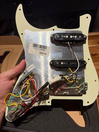 Golpeador Precableado Fender Player Plus ST SSH