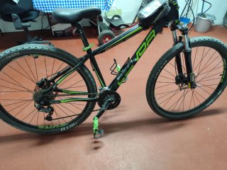 Bicicleta Montaña 29
