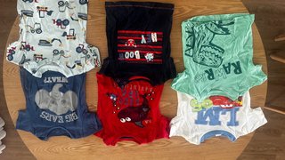 Lote Ropa Bebé Niño Verano 6-9 Meses