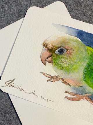 Cartoline con acquerello di uccelli