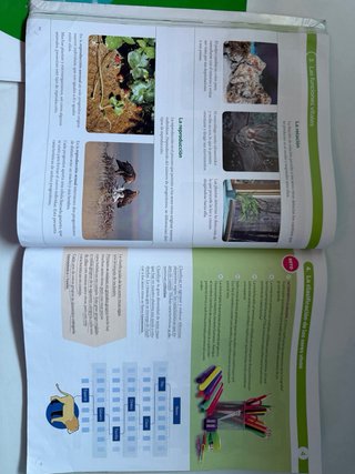BIOLOGIA Y GEOLOGIA MEC 1ESO CONSTRUYENDO MUNDOS