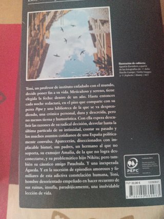 Los vencejos