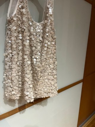 Top Zara lentejuelas y tul beige/dorado