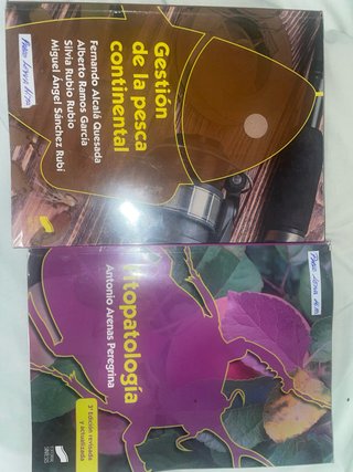 Dos libros de estudio