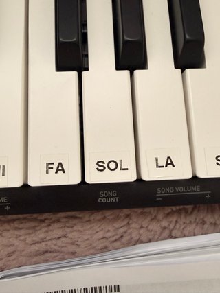 Casio CT-S100 Teclado Digital