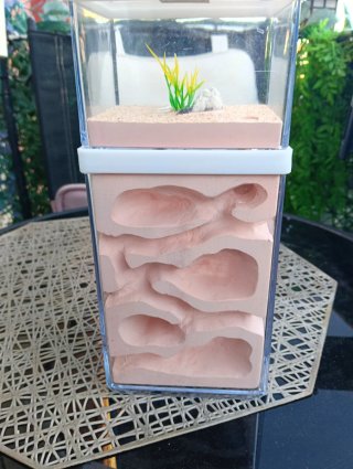 Ultima unità: Formicaio in gesso con scatola per foraggiamento