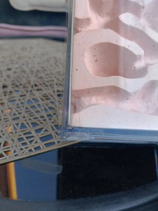Ultima unità: Formicaio in gesso con scatola per foraggiamento