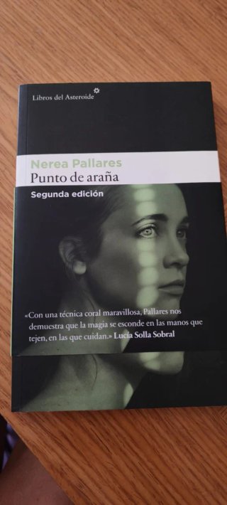 Libro Punto de araña