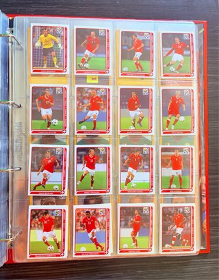 Panini Box WC Sudafrica 2010 Completo Ed. Suiza
