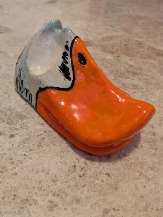 Apoya gafas de pato