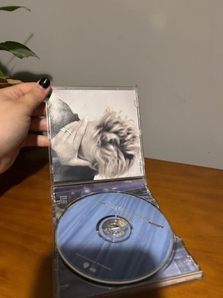 CD Rod Stewart If We Fall In Love Tonight
