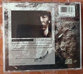 DAVID SYLVIAN - Secrets of the Beehive. Cd