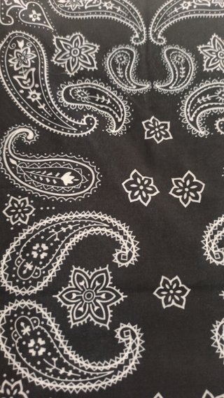 Lote 3 Pañuelos/Bandanas Negro y Blanco
