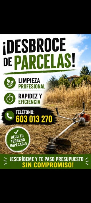 Desbroce de parcelas económico
