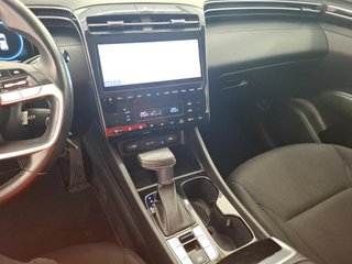 Hyundai TUCSON 1.6 CRDI 100kW 136CV 48V Maxx (2023)