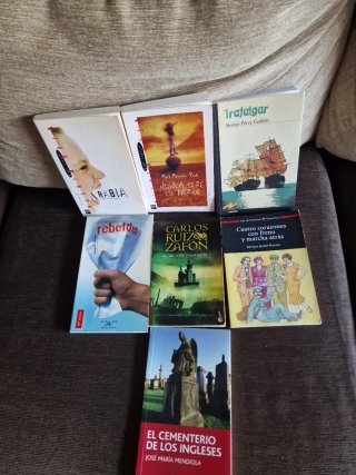 Lote de libros de lectura