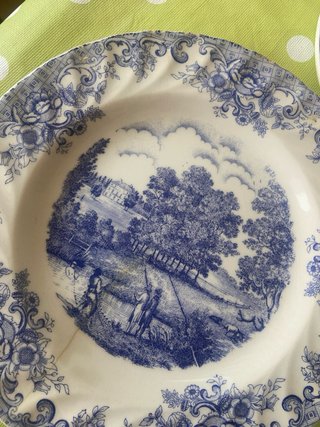 Lote 9 Platos Porcelana Ironst