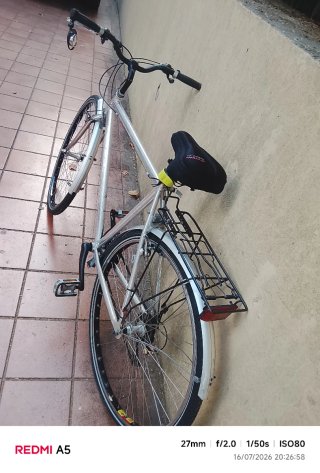 Bicicleta de montaña plateada