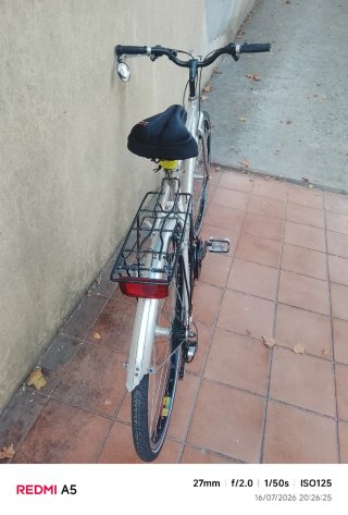 Bicicleta de montaña plateada