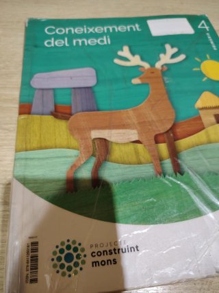 Coneixement del medi, 4 Primària, Projecte Constru