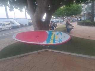 Tabla Paddle Surf con Diseño Tropical