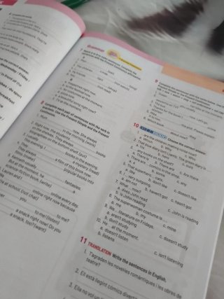 Options 1ESO workbook y student's book