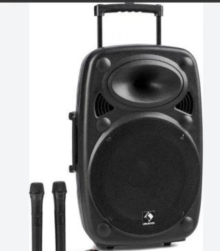 Altavoz Amplificado auna Negro con Ruedas