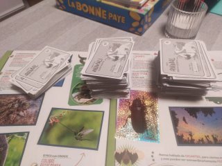 Mundo Animal Los Récords - Cromos Panini