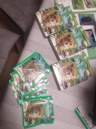 Mundo Animal Los Récords - Cromos Panini