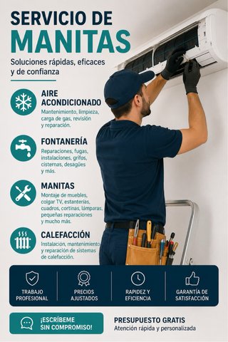 Servicios de manitas