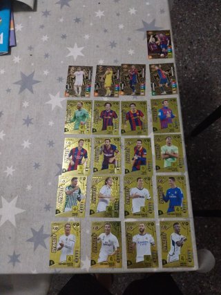 Cromos Panini Dynasty, Momentum y Card Única