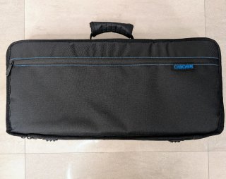 Boss GX-100 + Adaptador Bluetooth BT-DUAL + Funda