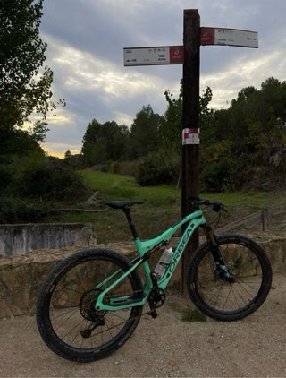 Orbea Oiz