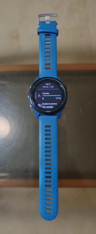 Reloj Garmin Forerunner 255