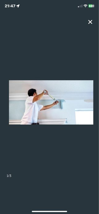 Servicio de pintura profesional