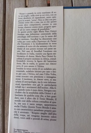 romanzo "Amore nero" di ⁠Maria Pace Ottieri